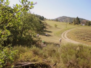 Rallye Détection