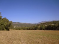 Rallye Détection