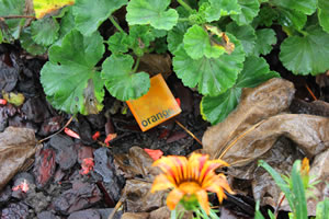 Enigm@orange - Découverte