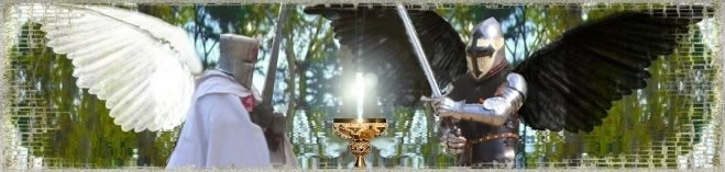 Les Chevaliers Elus - Chapitre 2 : A la recherche du grimoire perdu