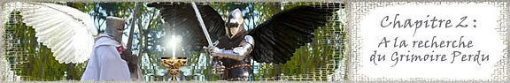 Les Chevaliers Elus - Chapitre 2 : A la recherche du grimoire perdu
