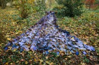 Fête des feuilles 2012 à Lyon