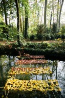 Fête des feuilles 2012 à Lyon