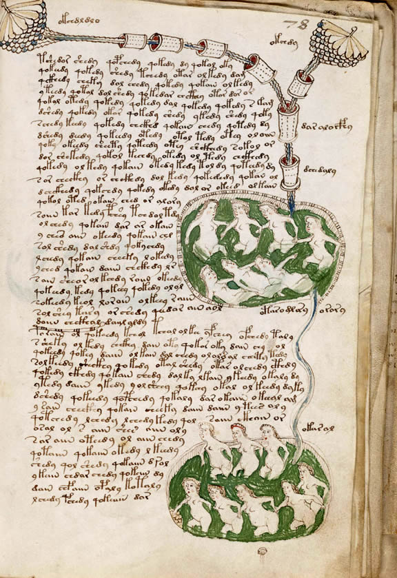Manuscrit de Voynich