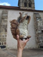 L'écureuil sympathique à Montaigut en Combraille