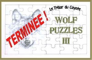 Wolf Puzzles III - Chasse au trésor terminée