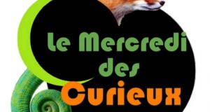 Le Mercredi des Curieux - Blagnac - Odyssud