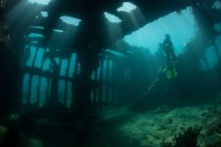 Epave sous-marine - Plongeur - Plongée