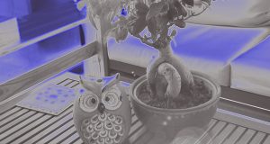 Chasse au Trésor à VEGA