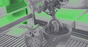 Chasse au Trésor à VEGA