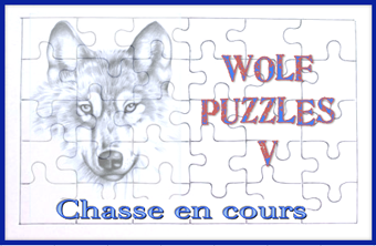 Wolf Puzzles V, la chasse au trésor