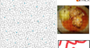 Provence Alpes Côte d'Azur - Enigme 4