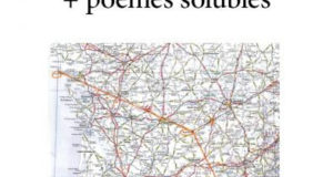 L'Énigme de la Chouette d’or : la ré-solution + poèmes solubles - Gérard Marty