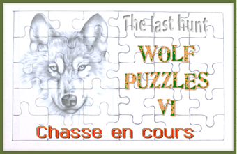 Wolf Puzzles VI, la chasse au trésor
