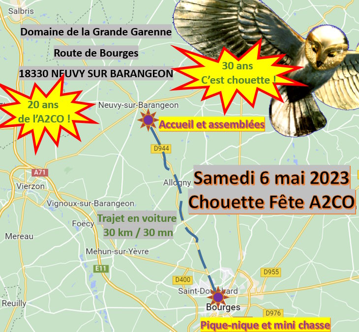 Chouette d'Or - La Chouette Fête 2023 - Chasse au trésor