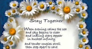 Stay Together - Mot secret