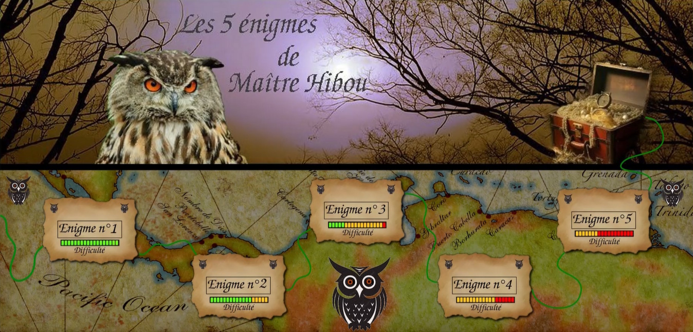Les cinq énigmes de Maître Hibou