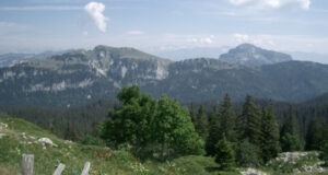 L'Or de Chartreuse - Chasse au trésor