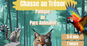 Panique au parc animalier - Chasse au trésor