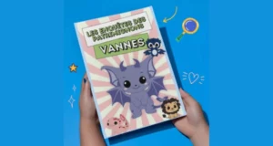 Kit enquête à Vannes